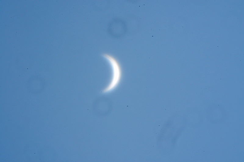 ４００ｍｍ反射式望遠鏡で撮影した「昼間の金星」です。